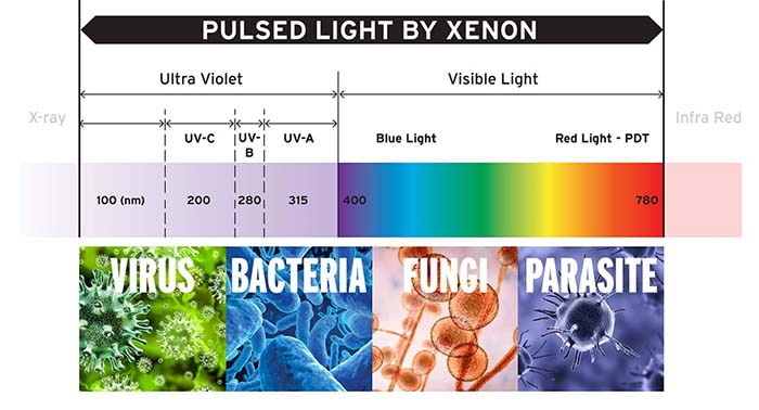 Graphic chart of pulsed light by XENON.