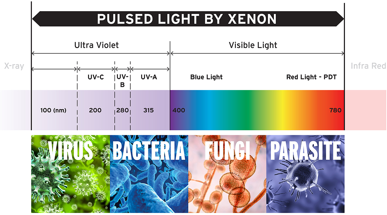 Why pulsed light matters.