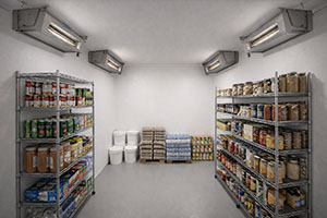 The Compact Integrated Xenon Lamp (CIXL) for contamination control strategies.